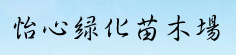 杭州千岛湖怡心绿化苗木场