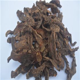 骨碎补（包含量）