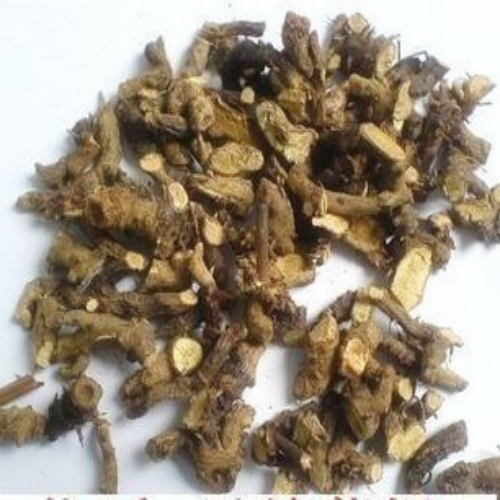 淫羊藿根