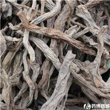百部 优质大货