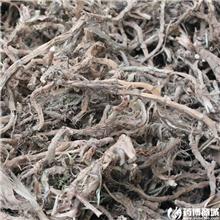 石菖蒲  各种规格