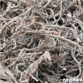 石菖蒲  各种规格