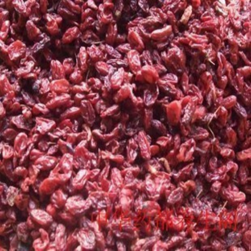 山萸肉