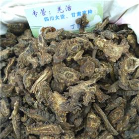 羌活 优质 散寒 祛风 除湿 止痛 