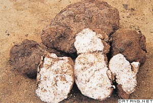 茯苓 大货 价格面议
