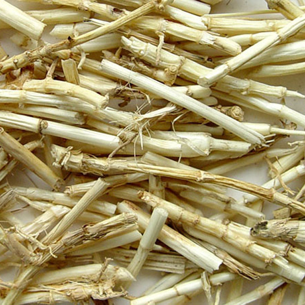白茅根 大货 价格面议