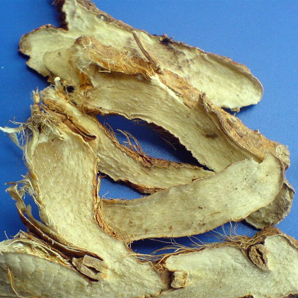 毛知母 大货 价格面议