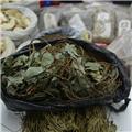 连钱草 优质 大别山 清热解毒 利尿排石 散瘀消肿
