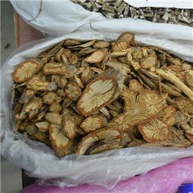 红藤 大别山 活血通络 败毒散瘀 祛风杀虫