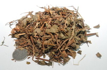 鱼腥草