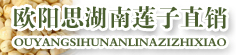 欧阳思湖南莲子直销