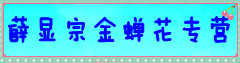 薛显宗金蝉花专营