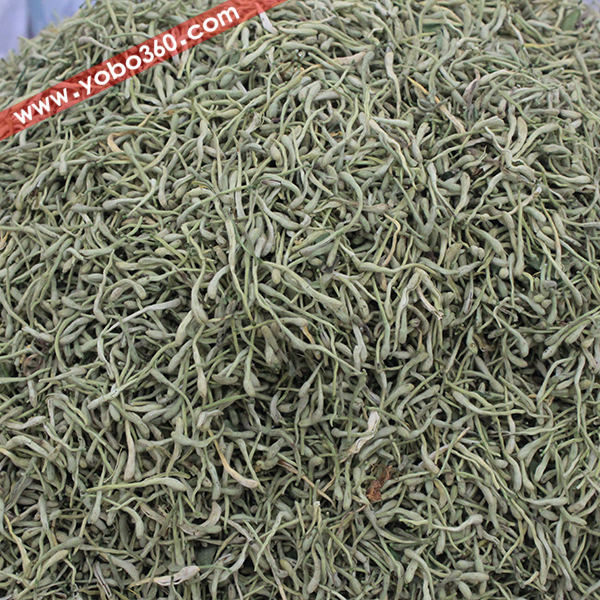 金银花 河南 优质价廉 清热解毒