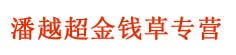 潘越超金钱草专营