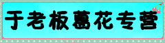 于老板葛花专营