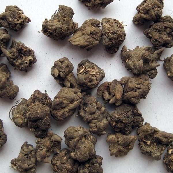 猫爪草 大货 价格面..