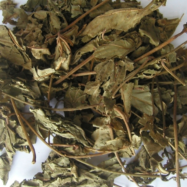 车前草 大货 价格面议