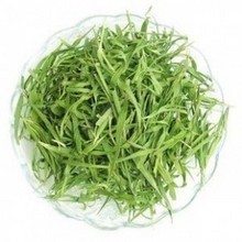 淡竹叶