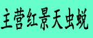 主营红景天虫蜕