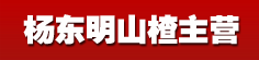 杨东明山楂主营