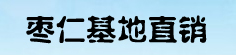 赞皇枣仁加工基地直销