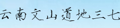 云南文山道地三七