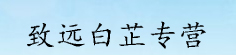 致远白芷专营