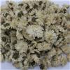 贡菊 （七月菊）黄山 质优价廉 大货供应
