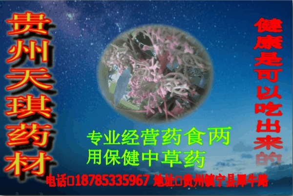 贵州天琪药材