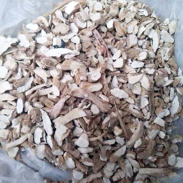  亳州产地白芷统货 5000公斤库存