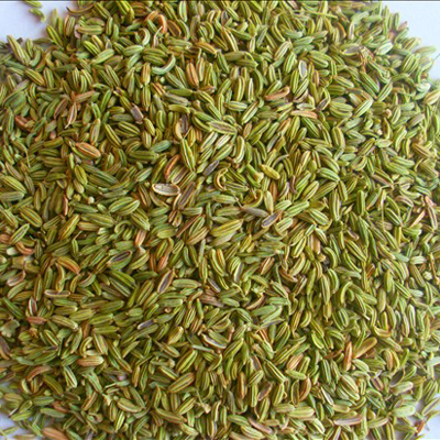 中药材批发 小茴香 茴香子 小茴 茴香