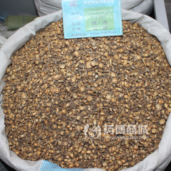 大货供应北防风（小片）野生 统货 内蒙产地