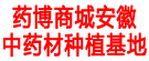 药博商城安徽中药材种植基地