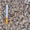 白芍 各种规格 大量供应 质优价廉