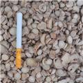 白芍 各种规格 大量供应 质优价廉