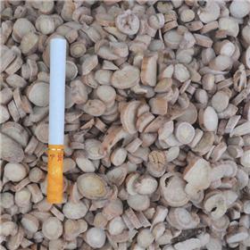 白芍 各种规格 大量供应 质优价廉