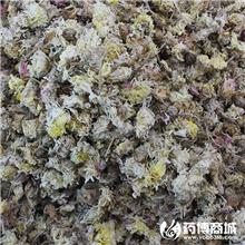 菊花 大货供应 原产..