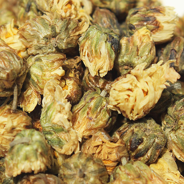 胎菊 色泽光艳 疏散风热