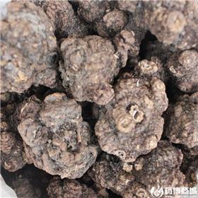 川芎 优质价廉 原产直销