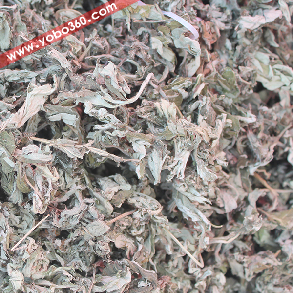 湖北艾叶 温经止血 散寒止痛 优质