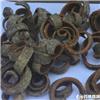 厚朴 选 四川