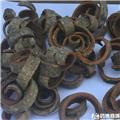 厚朴 选 四川