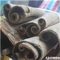 厚朴 个 四川