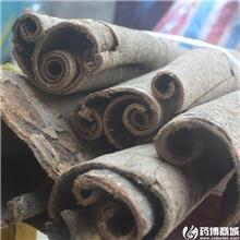 厚朴 个 四川