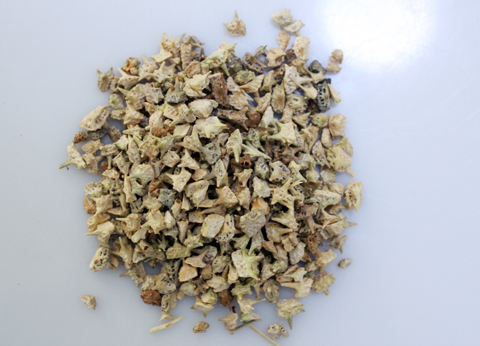 中药材普及系列—蒺藜 药博商城的日志 网易博客