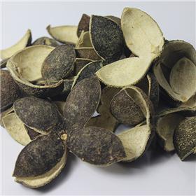 四花青皮  产地直供  量大价优 疏肝破气 消积化滞