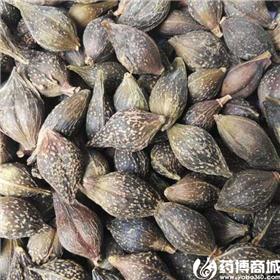 青翘 清热解毒 散结消肿 优质