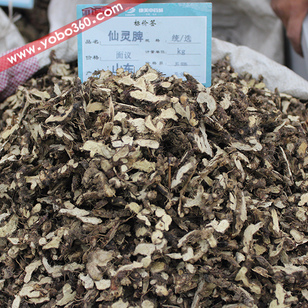 仙灵脾 淫羊藿根 产地山东湖北 正品 新货 干净