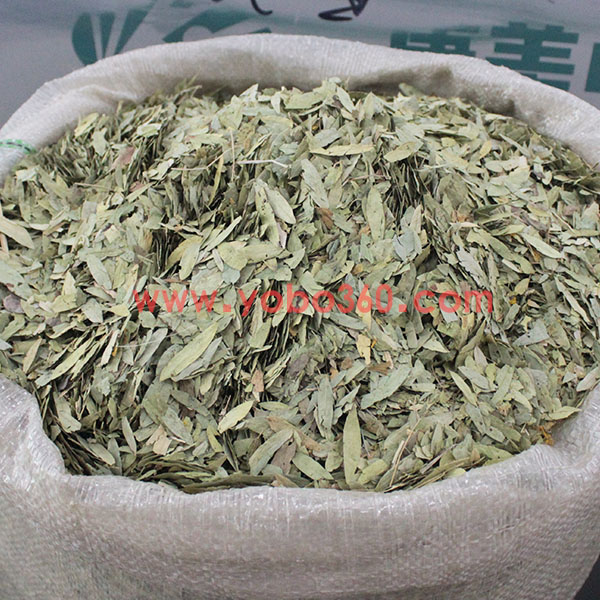 泻叶 大货供应 优质 泻热导滞