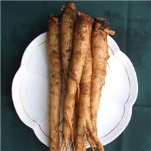 防风 优质价廉